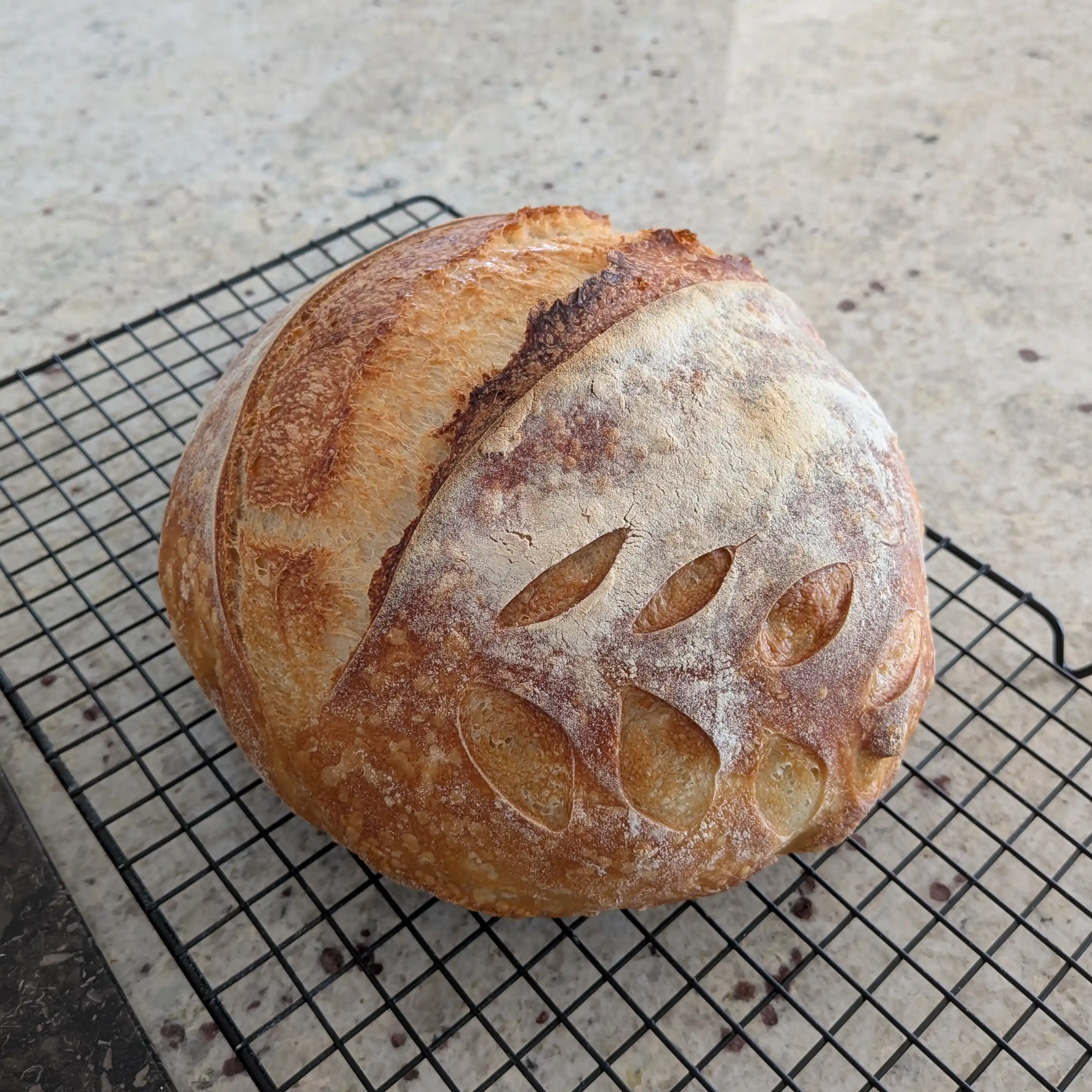 sourdough