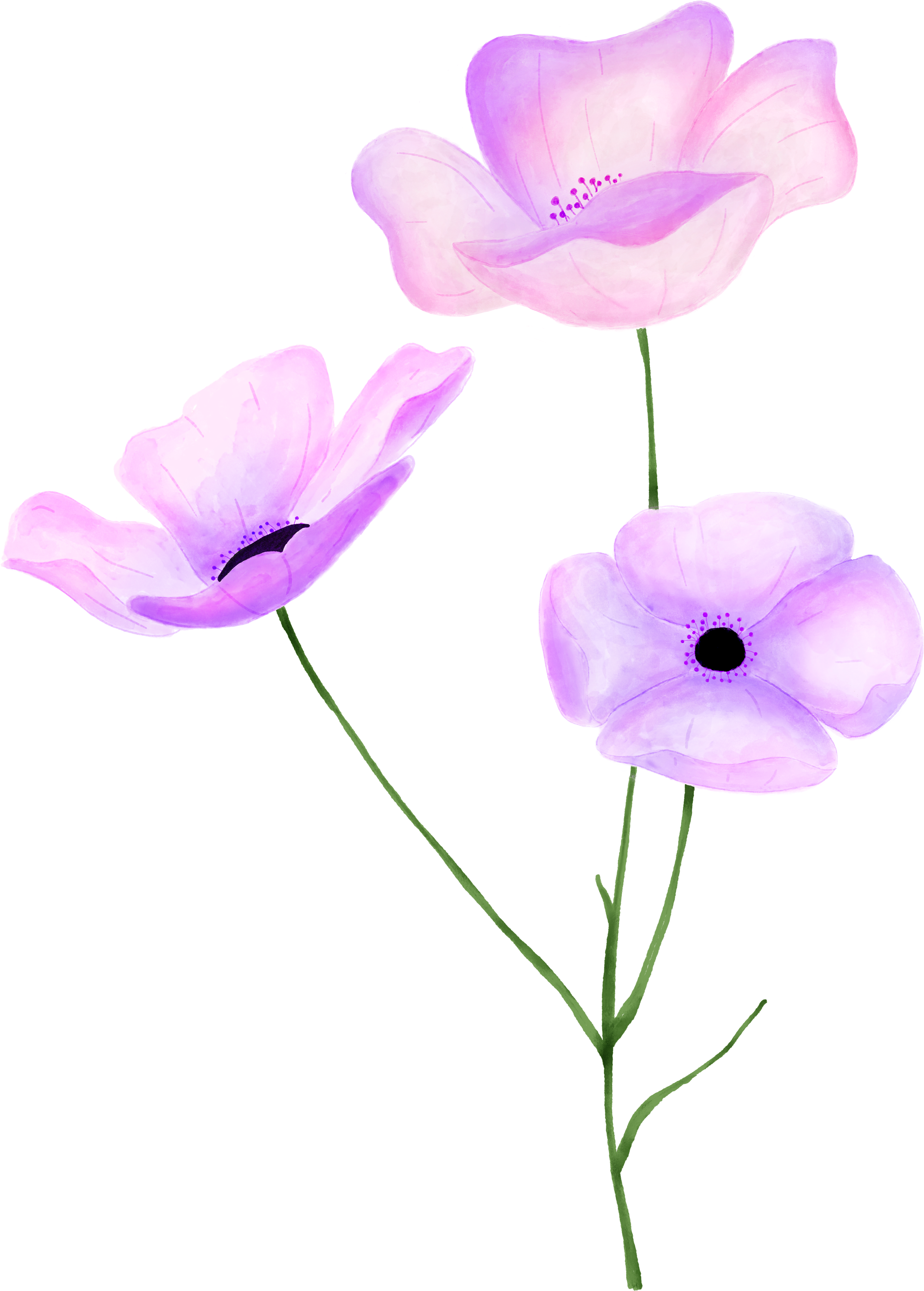 purple flower